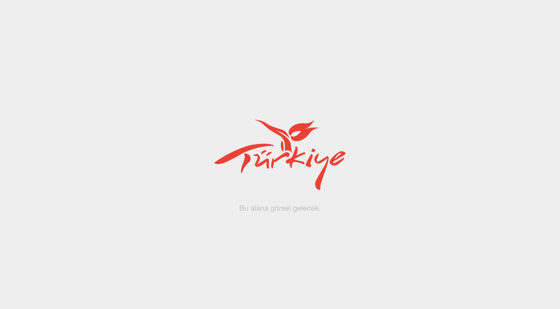 GoTurkiye broken image